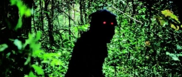 El tío Boonmee que recuerda sus vidas pasadas (Uncle Boonmee Who Can Recall His Past Lives), Tailandia 2010