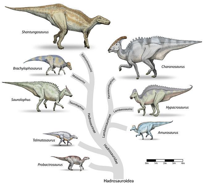 Dinosaurios acuáticos