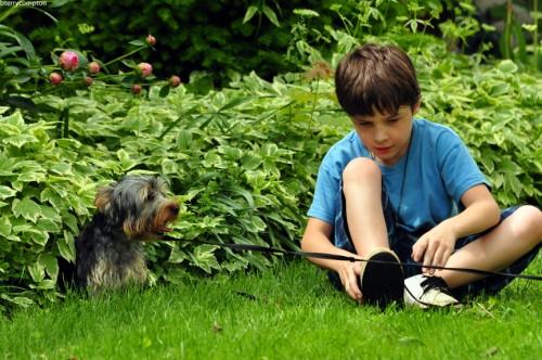 Mamá, quiero una mascota