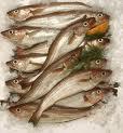 Estudios nutrición exploran beneficios pescado para salud