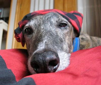 A la Pilarica yo le digo....