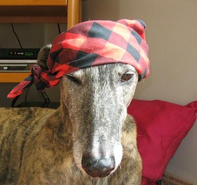 A la Pilarica yo le digo....