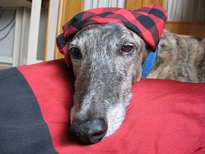 A la Pilarica yo le digo....