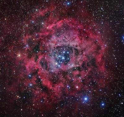 Los tesoros del Unicornio