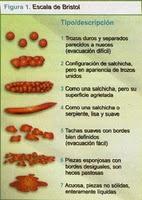 ¿De qué tipo es la caca de su hijo/a?