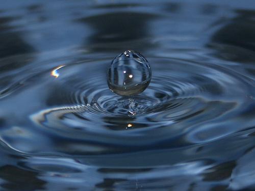 Día mundial del agua