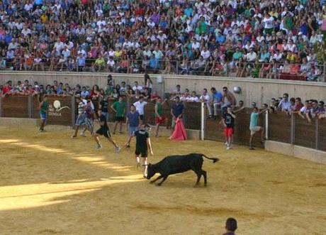 GRAN AMBIENTE EN LA SUELTA DE VAQUILLAS DE ALMEDINILLA