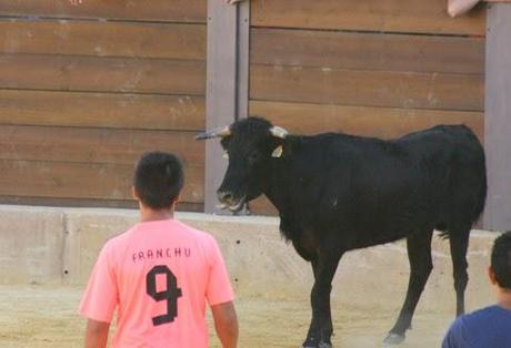 GRAN AMBIENTE EN LA SUELTA DE VAQUILLAS DE ALMEDINILLA