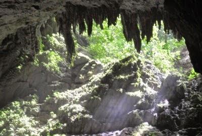 Cuevas del río Camuy, Puerto Rico