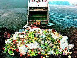 Ciencia y Alimentación. Desperdiciar menos carne y  comida si nos preocupa el futuro del planeta. Rafael Barzanallana