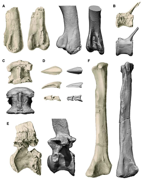 La nueva imagen de Spinosaurus