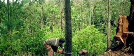 Matar a un Hombre - 2014