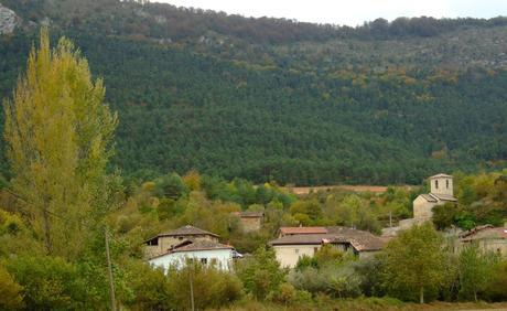 pinares