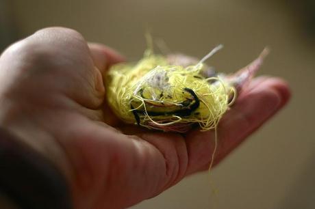 lirio_28_20140626 - Version 2+