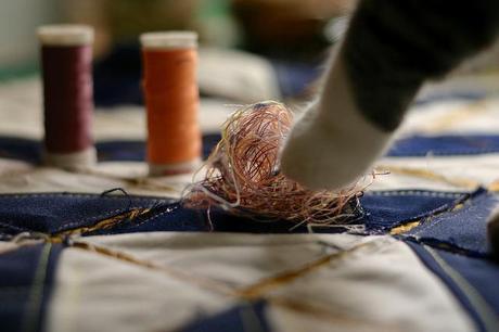 lirio_21_20140626 - Version 2+