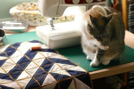 lirio_23_20140626 - Version 2+