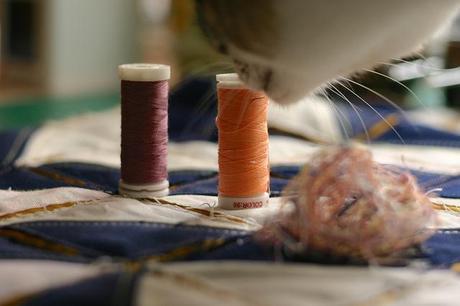 lirio_20_20140626 - Version 2+