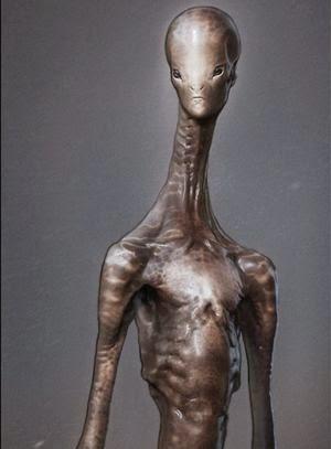 Escritos – Team Perseus: Riddle from Venus – Behind the Scenes Escritos – Team Perseus: Riddle from Venus – Behind the Scenes