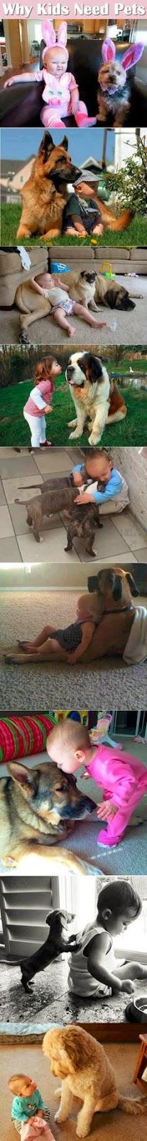 Love dogs 2