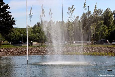 NEW IN  - SUEDE HEELS