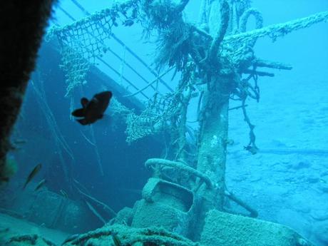 explorando los mares en busca de tesoros