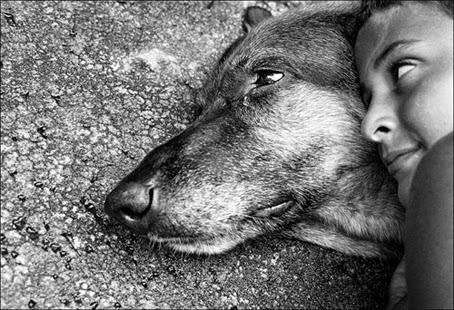 mejor amigo del hombre