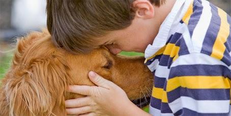 mejor amigo del hombre