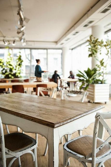 ¡En la Verdant Bakery de Viena tienen mi mesa de comedor!