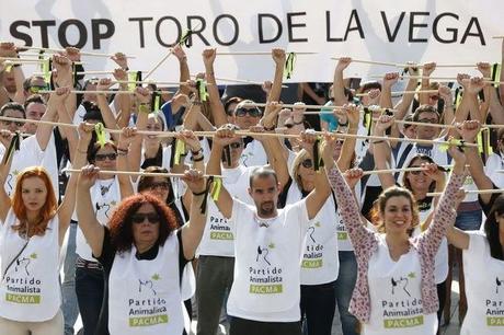 EL TORO DE LA VEGA MÁS DE 45.000 PERSONAS DICEN NO MÁS