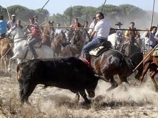 EL TORO DE LA VEGA MÁS DE 45.000 PERSONAS DICEN NO MÁS