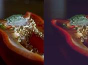 Fotografia VII: Actions Curves