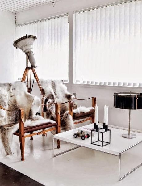 A LA LUZ DE LOS FOCOS...