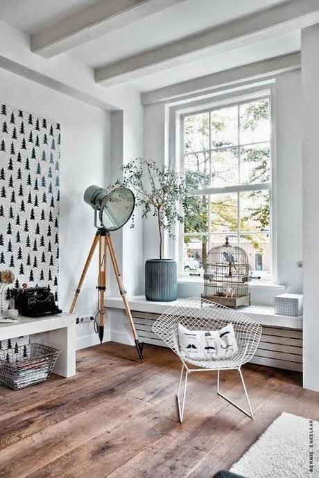 A LA LUZ DE LOS FOCOS...