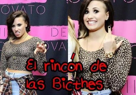 Próximamente... ¡Nueva sección!