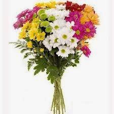 Mil gracias por regalarme tantos premios