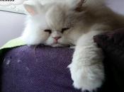 Estamos Agustito Lunes