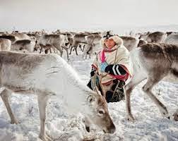 La intolerancia a la lactosa: cuando la solución se vuelve un problema