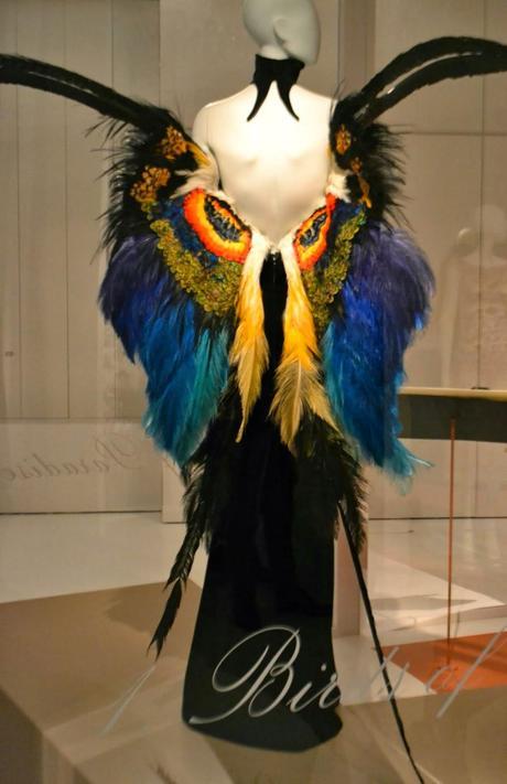 EXHIBITION. Birds Of Paradise [FINALIZADA]