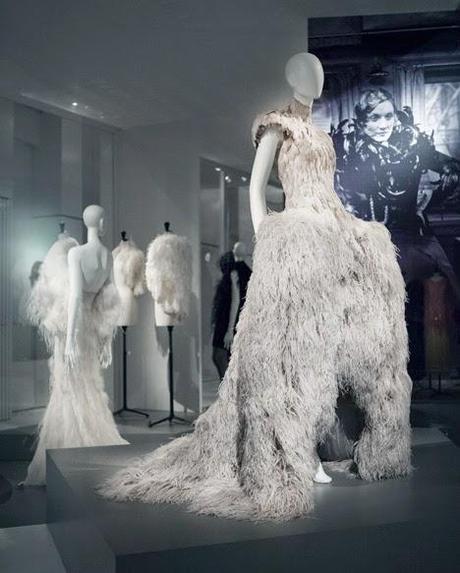 EXHIBITION. Birds Of Paradise [FINALIZADA]