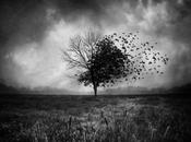 estación árboles Verano 2014