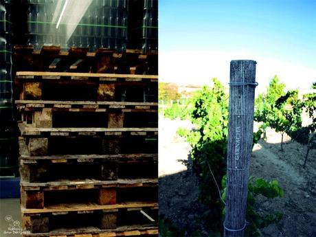 pintando entre viñedos... pintando entre viñedos...