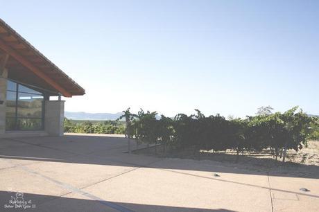 pintando entre viñedos... pintando entre viñedos...