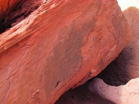 Los.petroglifos de Talampaya. La Rioja. Argentina