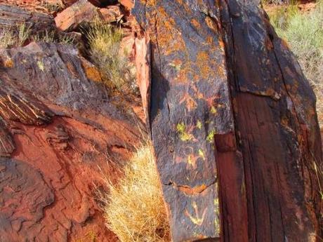 Los.petroglifos de Talampaya. La Rioja. Argentina
