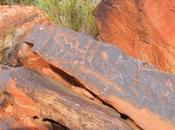 Los.petroglifos Talampaya. Rioja. Argentina