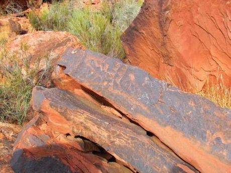 Los.petroglifos de Talampaya. La Rioja. Argentina