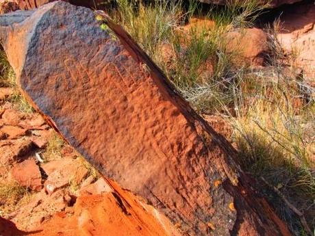 Los.petroglifos de Talampaya. La Rioja. Argentina
