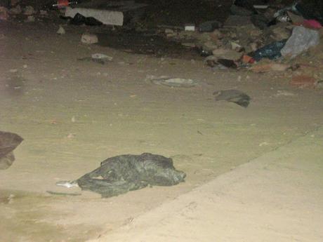 EL RECREO - Hoyo de Las Delcias- Reunión de trabajo con asistencia de entes gubernamentales