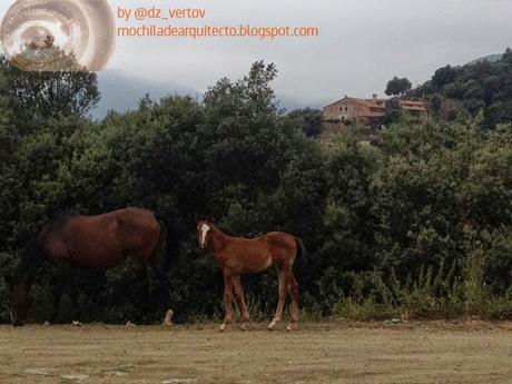 Visitar el Parque Natural de Montseny