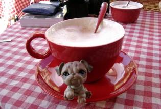 CAFÉ EN MONTMARTRE